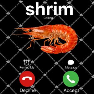 Shrim 3 Shrim Tshirt
