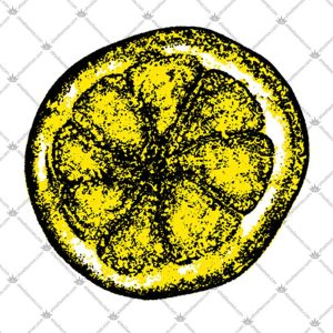 The Stone Roses Lemon Logo 5 The Stone Roses Lemon Logo T Shirts