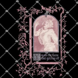 You Are The Flame That Gets Me Off Melanie Martinez 3 You Are The Flame That Gets Me Off Melanie Martinez T Shirts