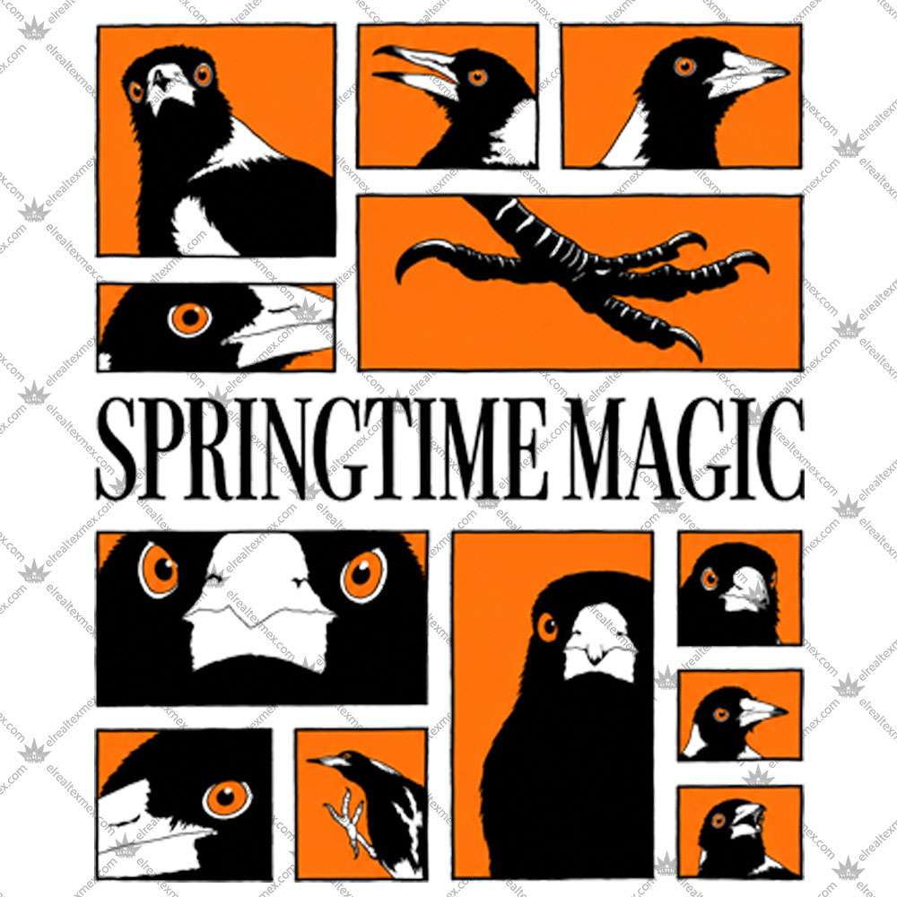 Springtime Magic 3 Springtime Magic T Shirts